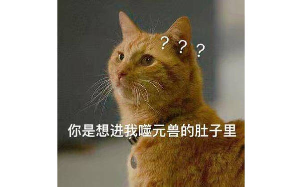 你是想进我噬元兽的肚子里？？ - 《惊奇队长》 噬元兽橘猫表情包