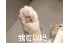 我可以吗(猫爪)