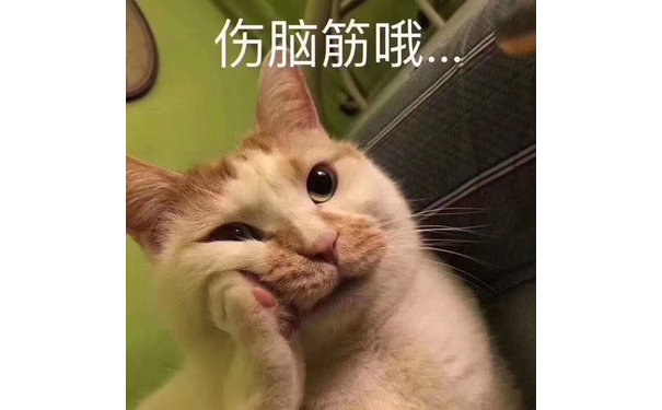 伤脑筋哦(猫咪托腮表情包)