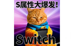 S属性大爆发！Switch