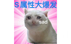 S属性大爆发sad