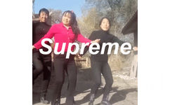 Stupreme(大妈尬舞 GIF 动图)