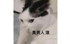 臭男人滚(猫猫捂住鼻子表情包)