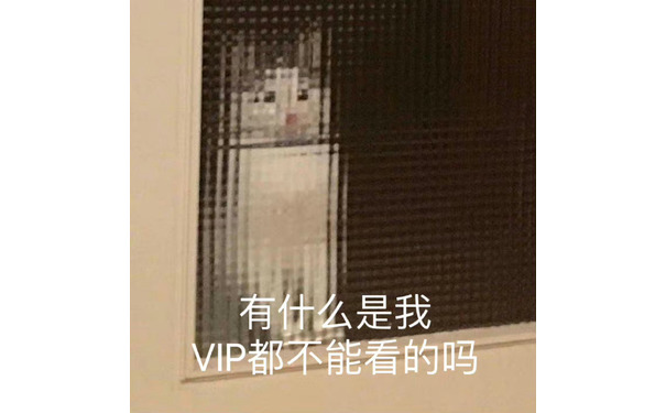 有什么是我VIP都不能看的吗