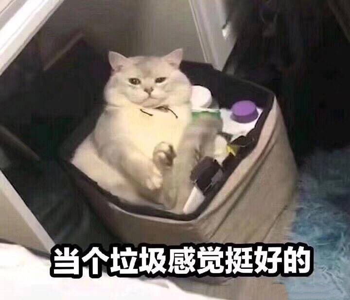 当个垃圾感觉挺好的（猫咪表情包）