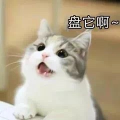 盘它啊~(猫咪)