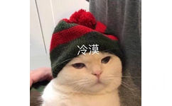 冷漠猫咪