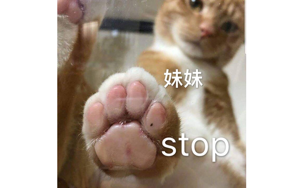 妹妹 stop（猫爪）