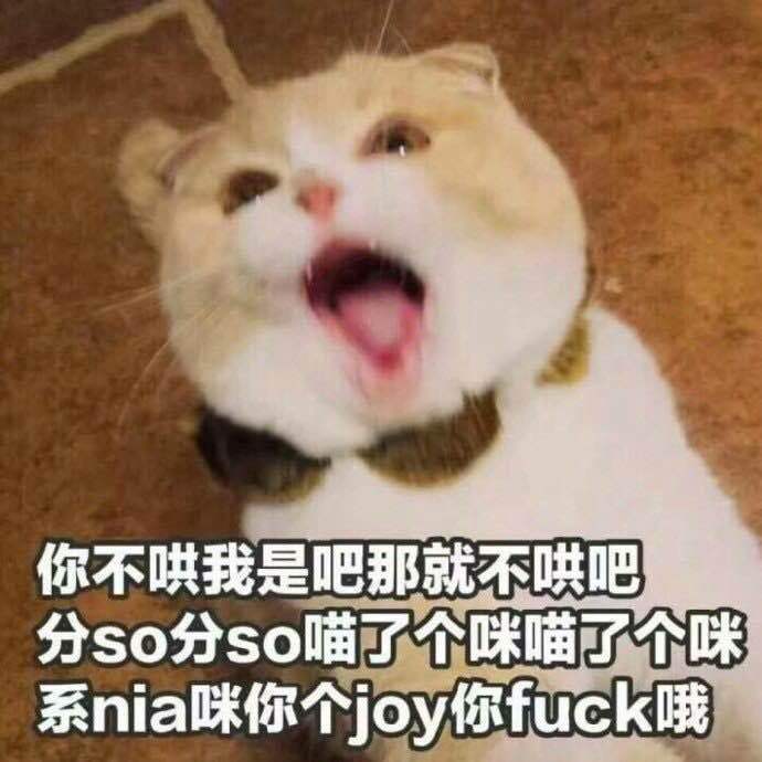 你不哄我是吧那就不哄吧分so分so喵了个咪喵了个咪系nia咪你个joy你fuck哦(喵咪)