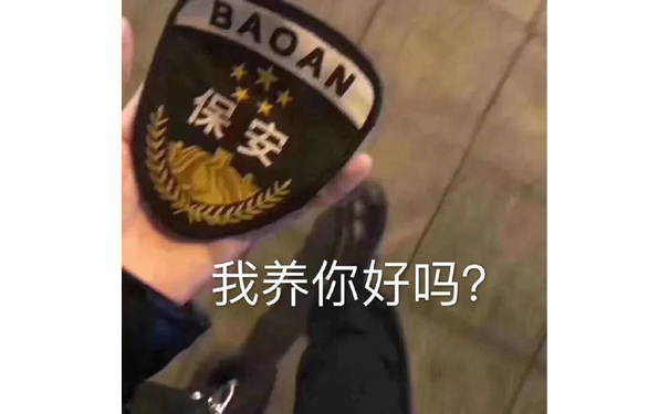 BAOANk我养你好吗? - 对不起 其实我是一名保安保宁一生平安