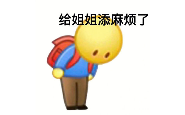 给姐姐添麻烦了