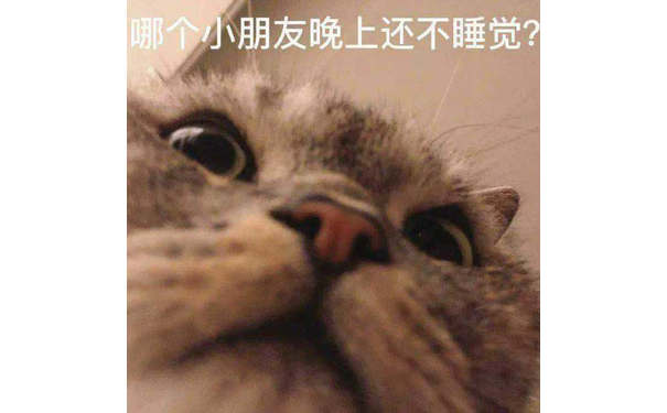 哪个小朋友晚上还不睡觉?(猫咪表情包)