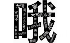 无情喔呵不想听呸吕长obody cares 大写的冷漠辣鸡大写的冷漠最回关我何事呵呵哒无情哦哦哦突棒吗腊鸡(大写的哦)