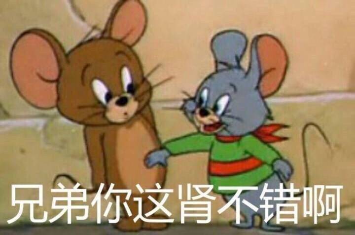 兄弟你这肾不错啊（猫和老鼠）