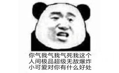 你气我气我气死我这个人间极品超级无敌爆炸小可爱对你有什么好处(熊猫头)