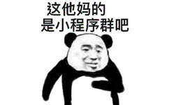 这他妈的是小程序群吧