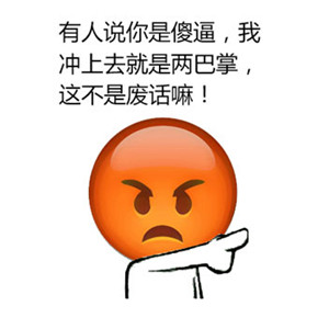 有人说你是傻逼，我冲上去就是两巴掌，这不是废话嘛！ - emoji搞笑表情