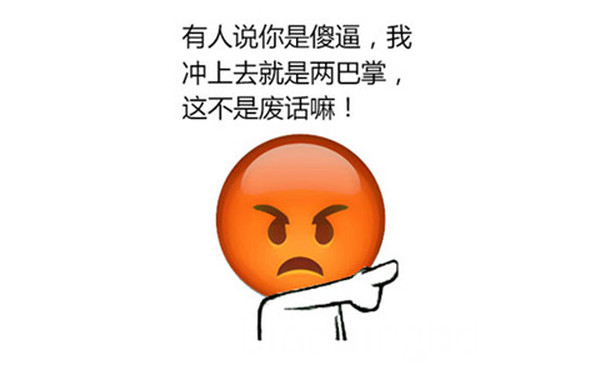 有人说你是傻逼，我冲上去就是两巴掌，这不是废话嘛！ - emoji搞笑表情