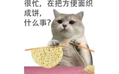 很忙，在把方便面织成饼，什么事？(猫猫很忙表情包)