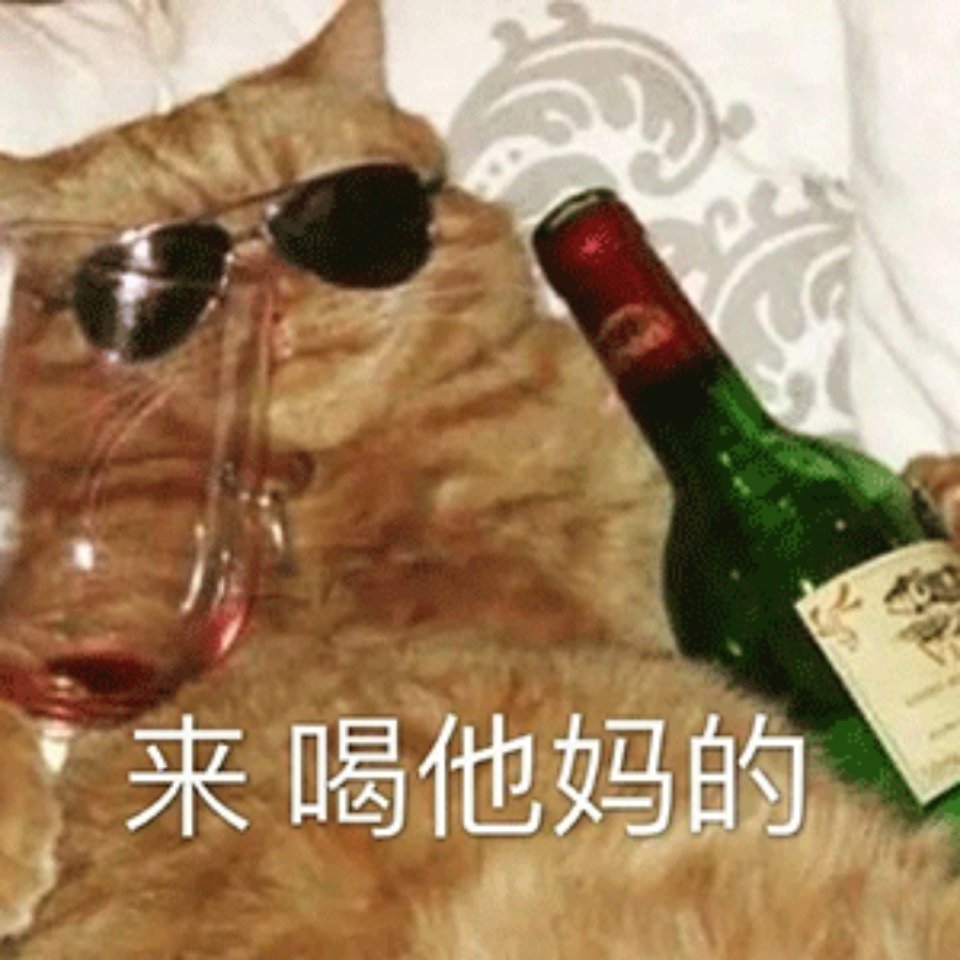 来喝他妈的(猫猫表情包)