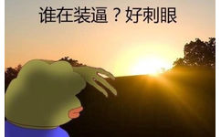 谁在装逼？好刺眼 - 快说你爱我（sadfrog）