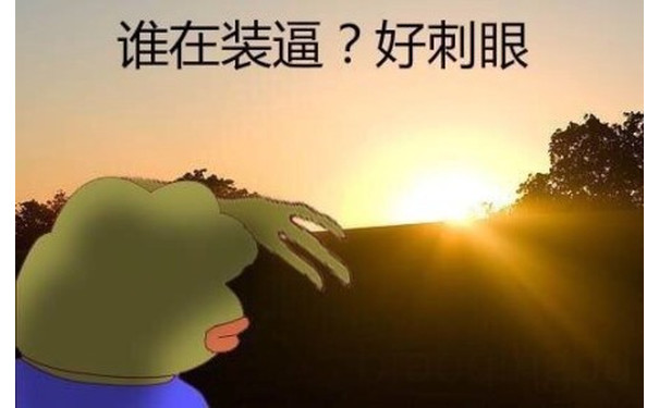 谁在装逼？好刺眼 - 快说你爱我（sadfrog）