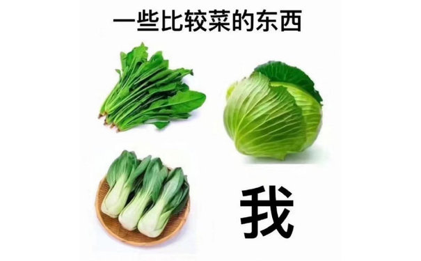 一些比较菜的东西我