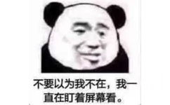 不要以为我不在,我一直在盯着屏幕看。