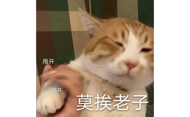 甩开 莫挨老子（猫咪表情包）