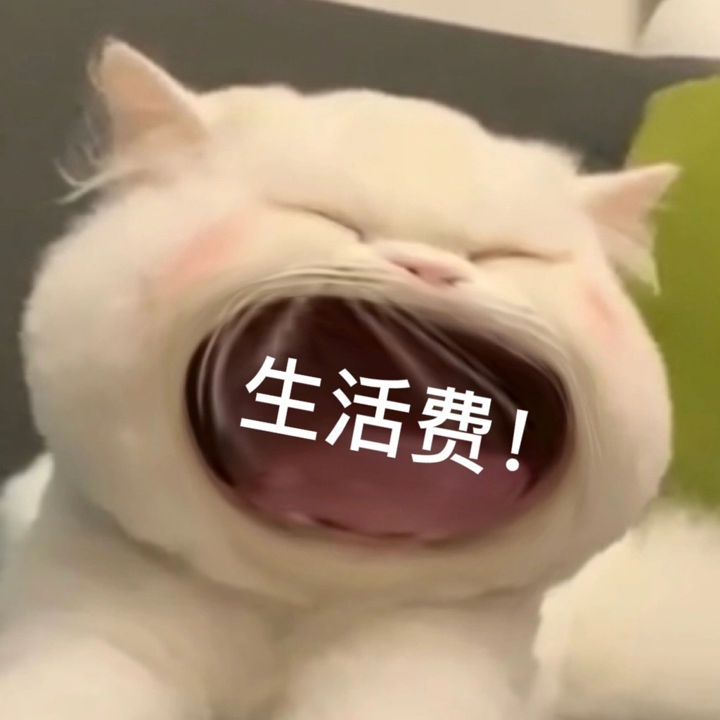 生活费! - 大嘴猫猫咪表情包