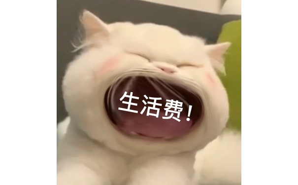 生活费! - 大嘴猫猫咪表情包