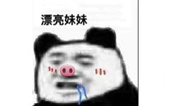 漂亮妹妹（熊猫头表情包）