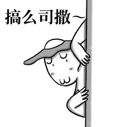 搞么司撒 - 方言系列斗图表情（武汉话）