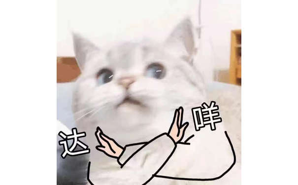 达咩 猫猫不行，不干，不许表情包