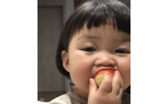 罗熙吃草莓 GIF 动图