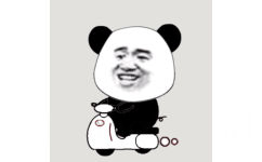 骑小摩托 GIF - 熊猫头斗图动图系列