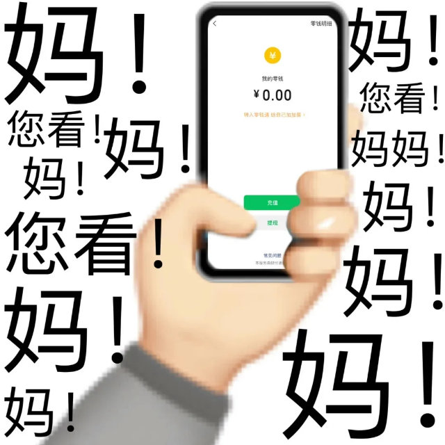 零钱明细妈!香我的零钱￥0.00您看!入结己加加妈妈您妈充值提现37常问题妈妈妈!(我没钱了)