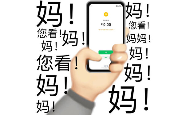 零钱明细妈!香我的零钱￥0.00您看!入结己加加妈妈您妈充值提现37常问题妈妈妈!(我没钱了)