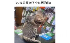 22岁只是搬了个东西的你: