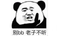 别bb老子不听(熊猫头表情包)