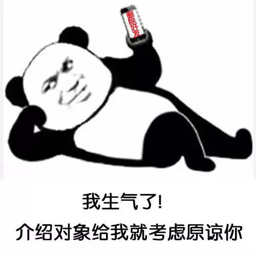 我生气了！介绍对象给我就考虑原谅你 - 熊猫头：我生气了