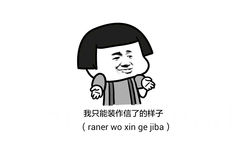 我只能装作信了的样子（raner wo xin ge jiba） - 阁下难道就是傻逼中的战斗机 贱人中的VIP