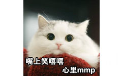 嘴上笑嘻嘻 心里 mmp - 一组猫咪斗图表情 一起吸猫