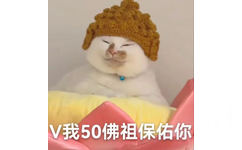 V我50佛祖保佑你(猫猫表情包)