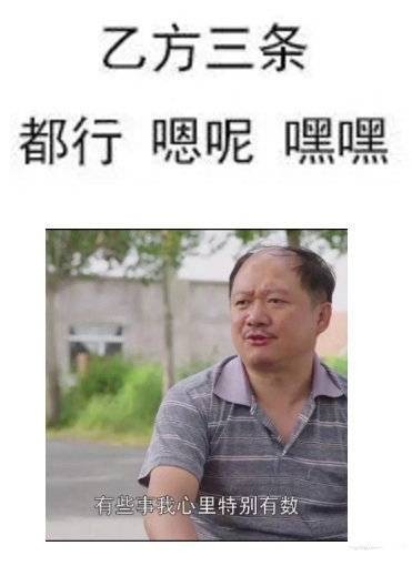 乙方三条都行嗯呢嘿嘿有些事我心里特别有效 - 三连表情包系列