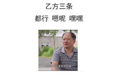 乙方三条都行嗯呢嘿嘿有些事我心里特别有效 - 三连表情包系列