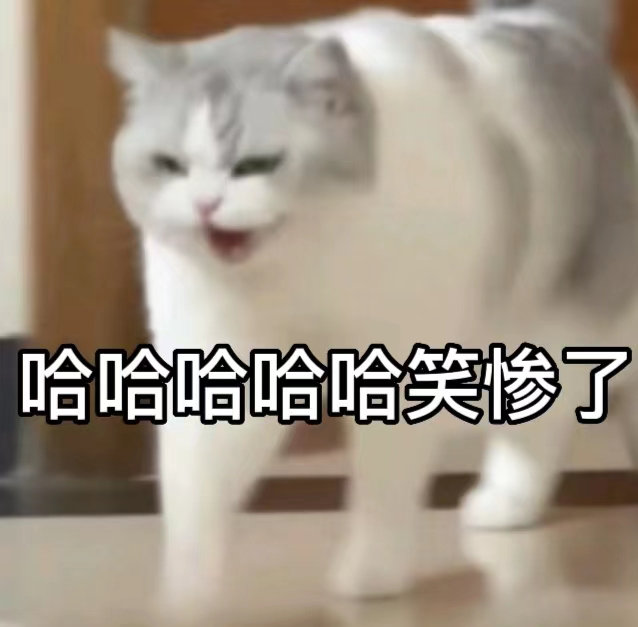 哈哈哈哈哈笑惨了(猫猫表情包)