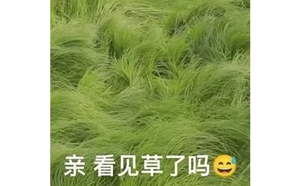 亲看见草了吗