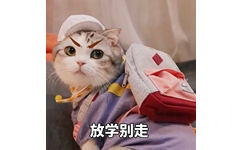 放学别走(猫咪)