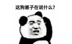 这狗崽子在说什么?